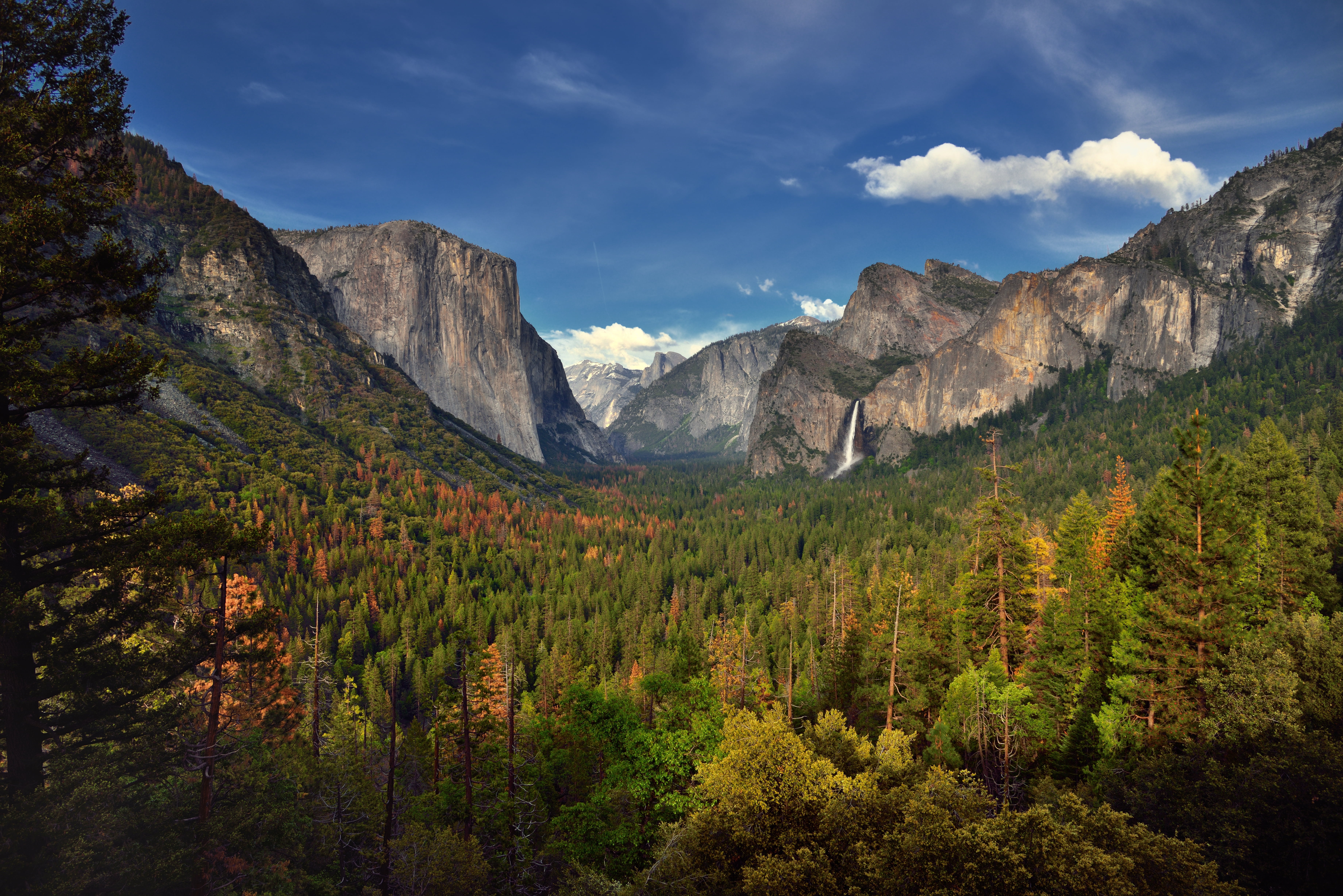 Yosemite National Park , HD Wallpaper & Backgrounds