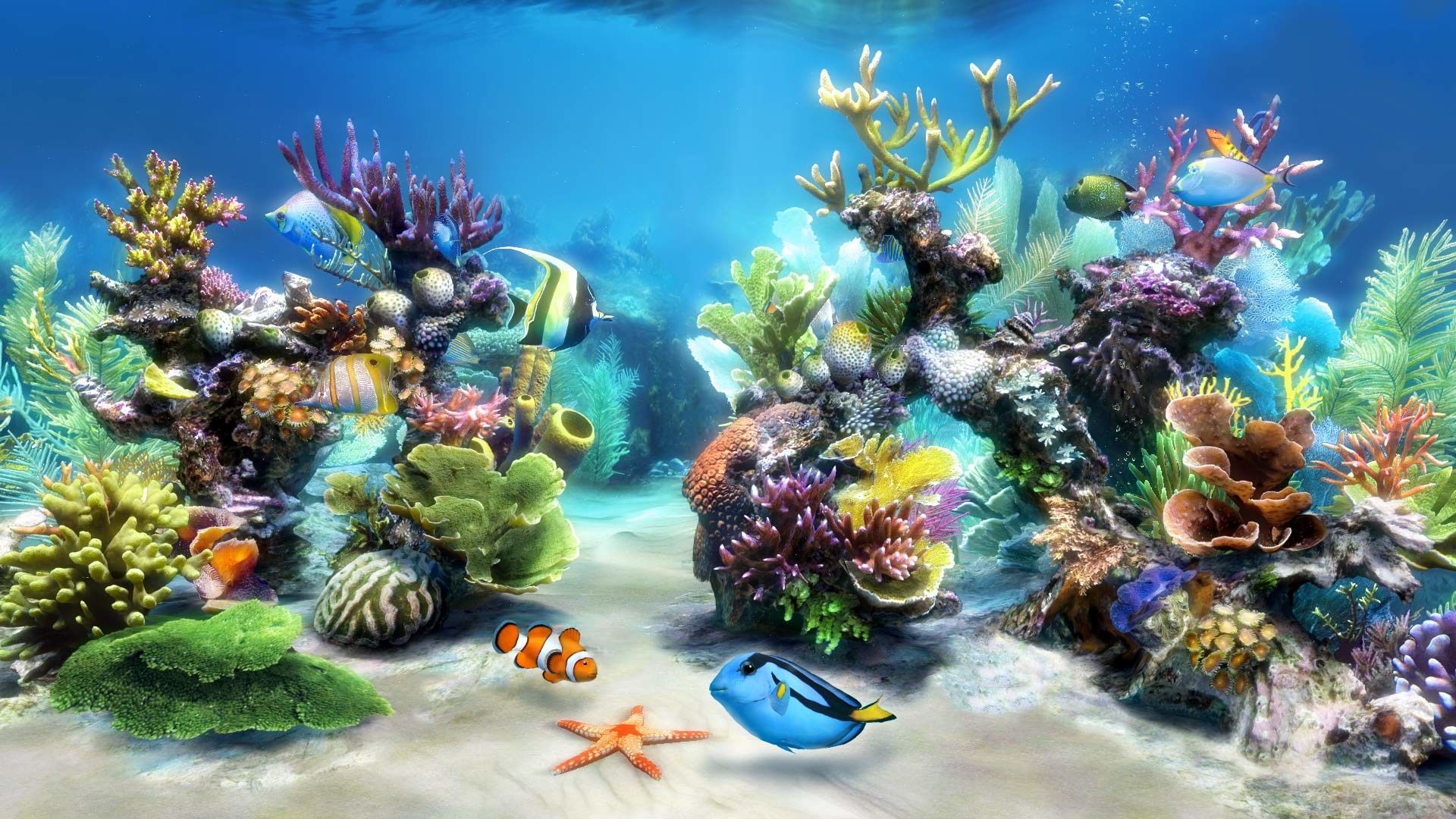 Fish Tank Wallpaper 
 Data-src /full/1361017 - Aquarium Live Wallpaper For Pc , HD Wallpaper & Backgrounds