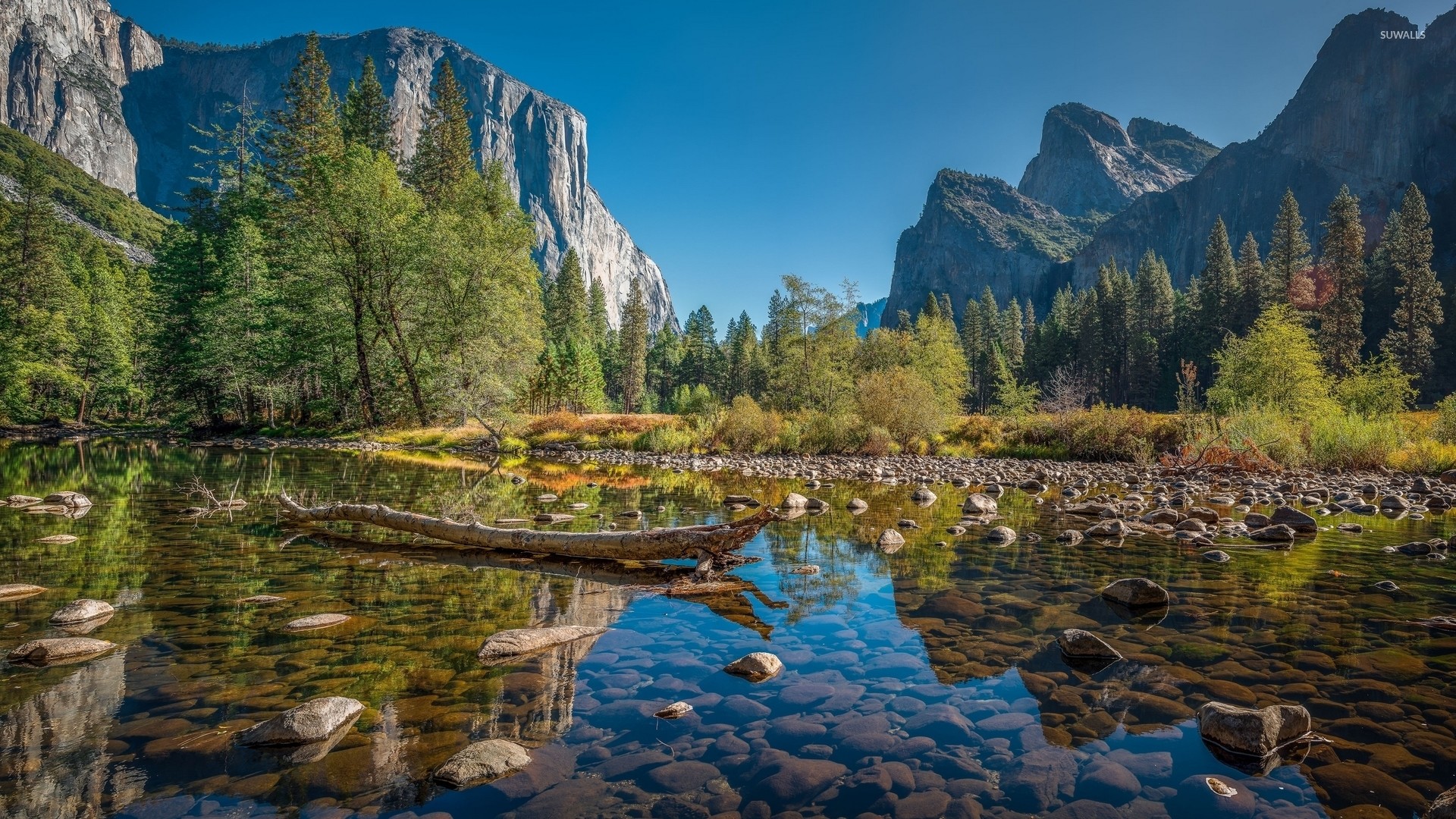 Yosemite National Park [9] Wallpaper - Yosemite National Park , HD Wallpaper & Backgrounds