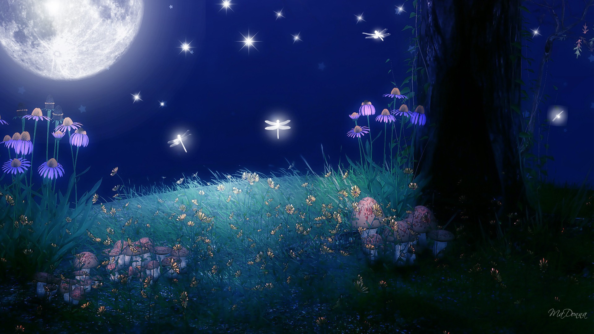 Moon Stars Wallpaper Hd , HD Wallpaper & Backgrounds