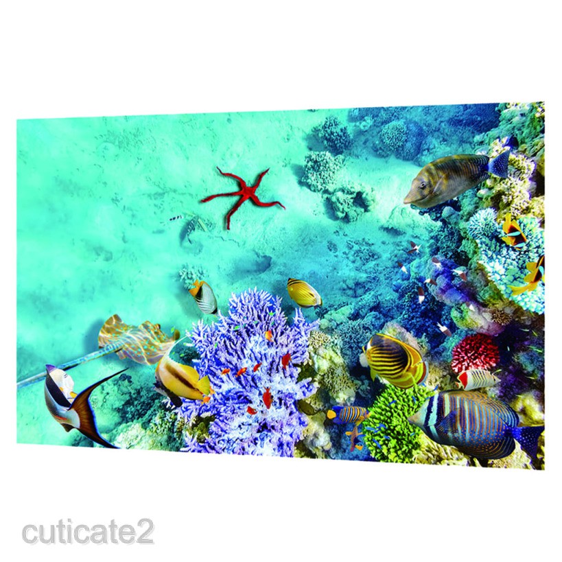 Snorkeling Banana Reef Maldives , HD Wallpaper & Backgrounds