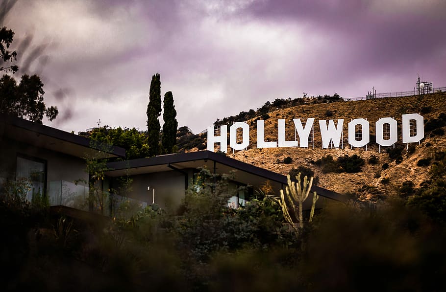 Hollywood Signage, Black And Gray Glass House Near - Hollywood Sign , HD Wallpaper & Backgrounds