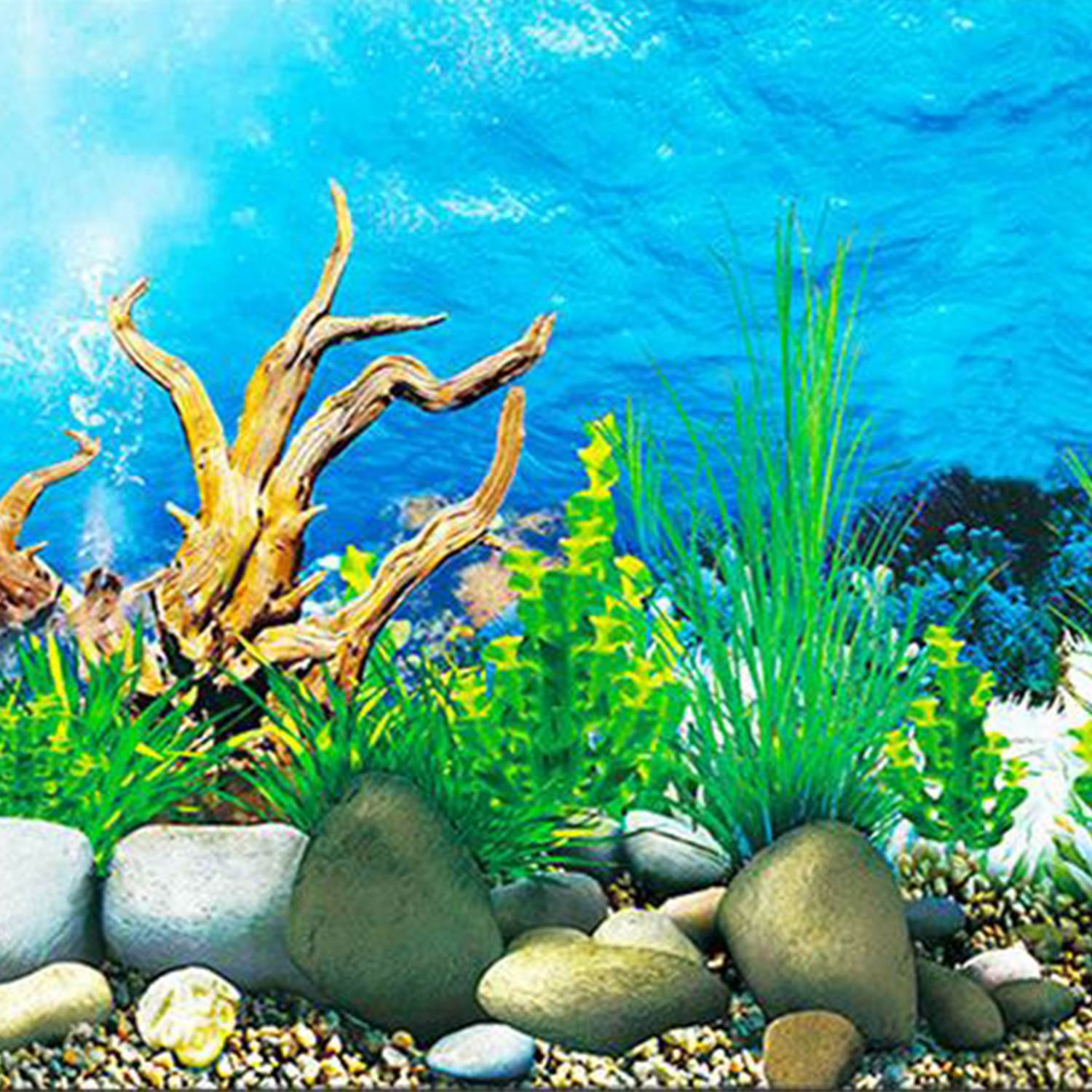 Fish Tank Background Paper , HD Wallpaper & Backgrounds
