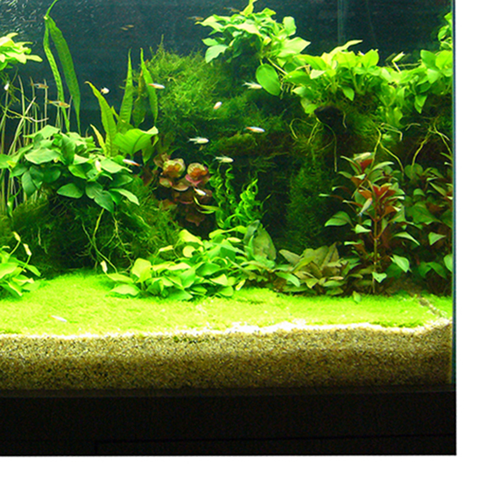 Fish Tank Background 90x45cm - Aquarium 3d , HD Wallpaper & Backgrounds