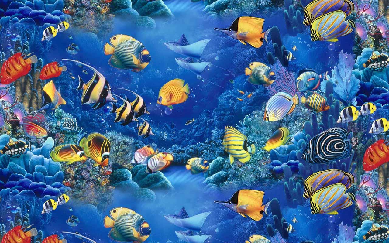 Fish Tank Wallpaper Hd - Fishes Get You Hella Bitches , HD Wallpaper & Backgrounds