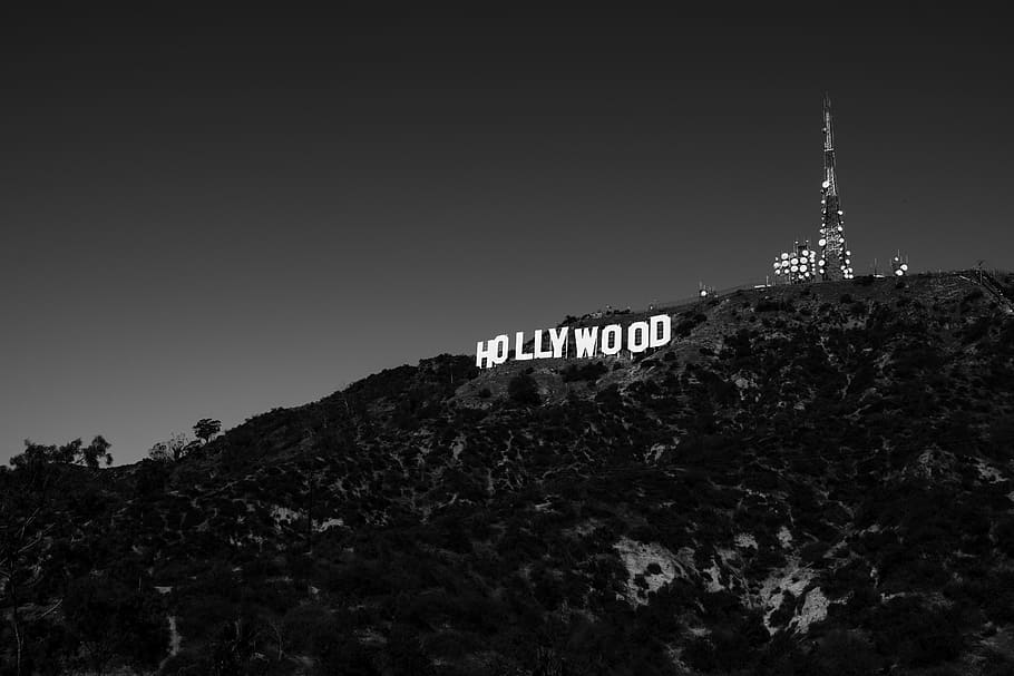 Grey Scale Photography Of Hollywood, Black And White, - Hollywood Sign , HD Wallpaper & Backgrounds