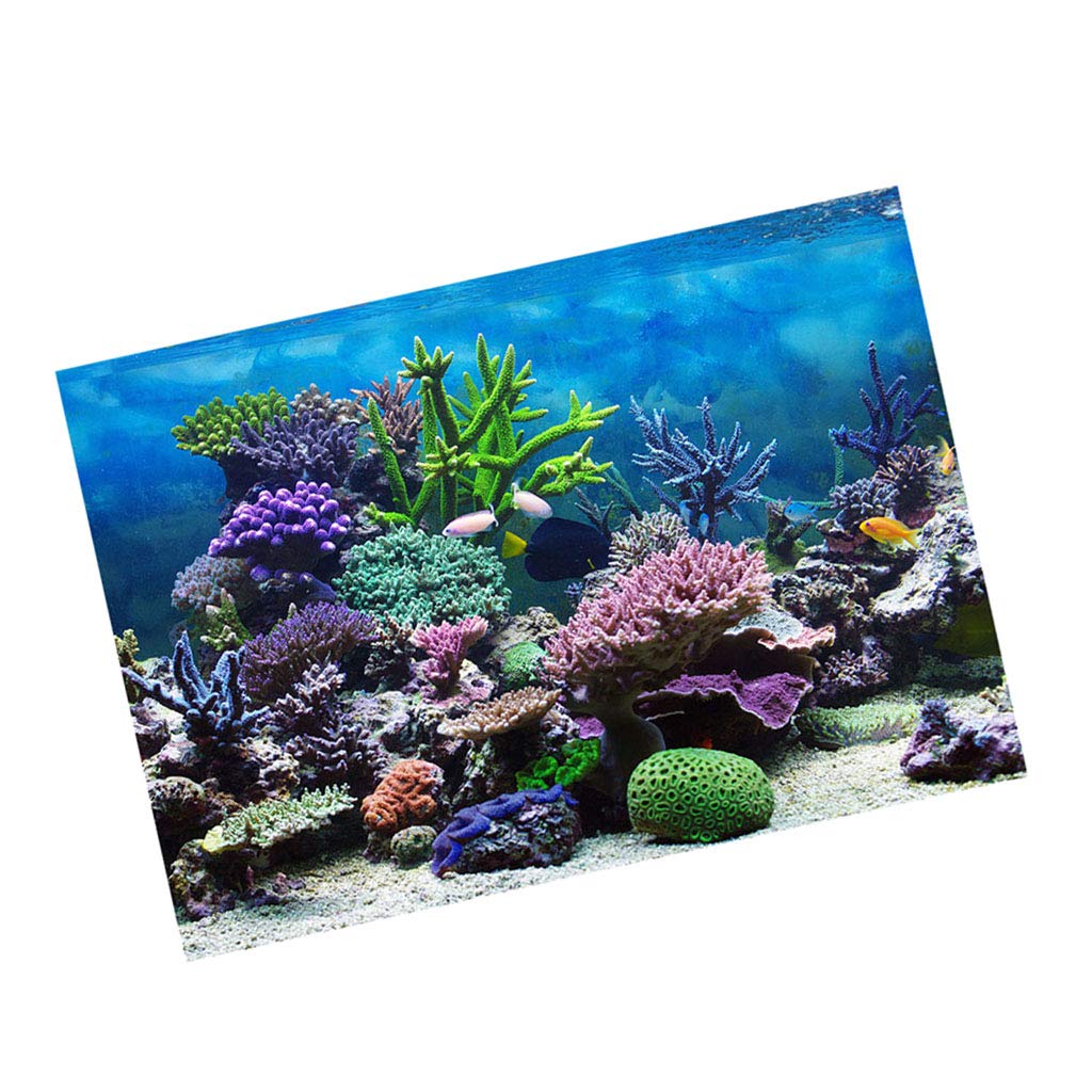 Poster Design Of Aquarium , HD Wallpaper & Backgrounds
