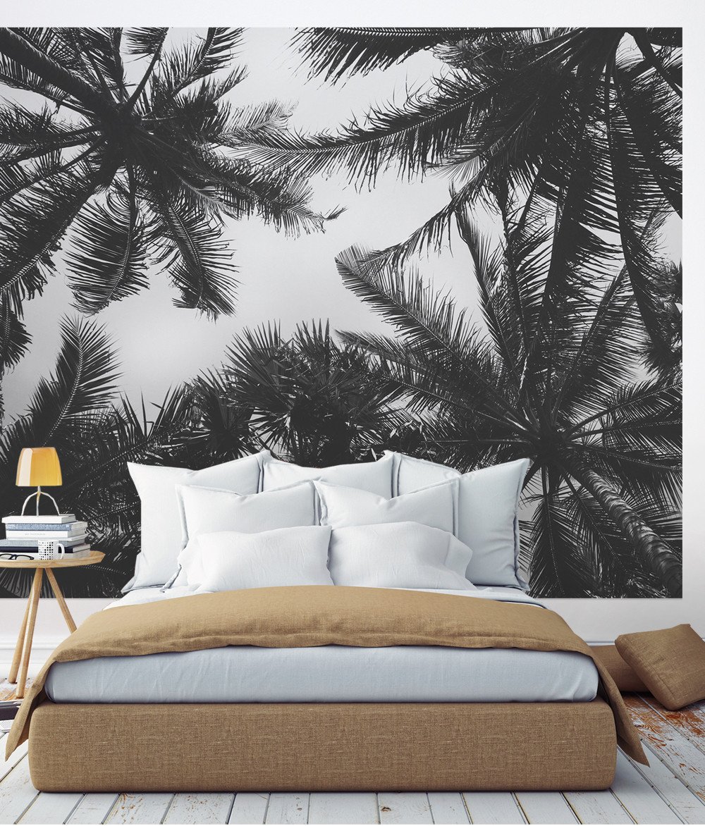Palm Tree Photograph Wall Art - Palm Tree Wallpaper Bedroom , HD Wallpaper & Backgrounds