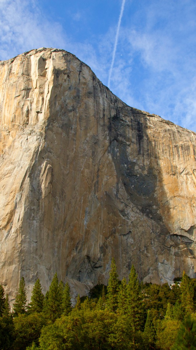 El Capitan, 5k, 4k Wallpaper, Yosemite, Hd, Forest, - Yosemite National Park , HD Wallpaper & Backgrounds