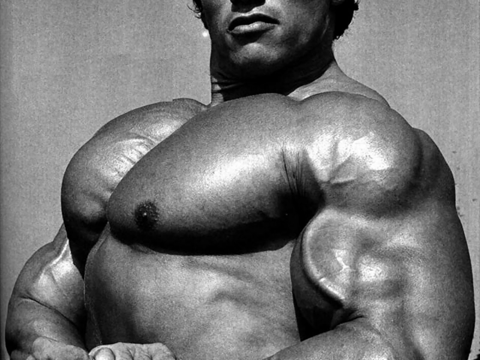 Arnold Schwarzenegger Bodybuilding , HD Wallpaper & Backgrounds