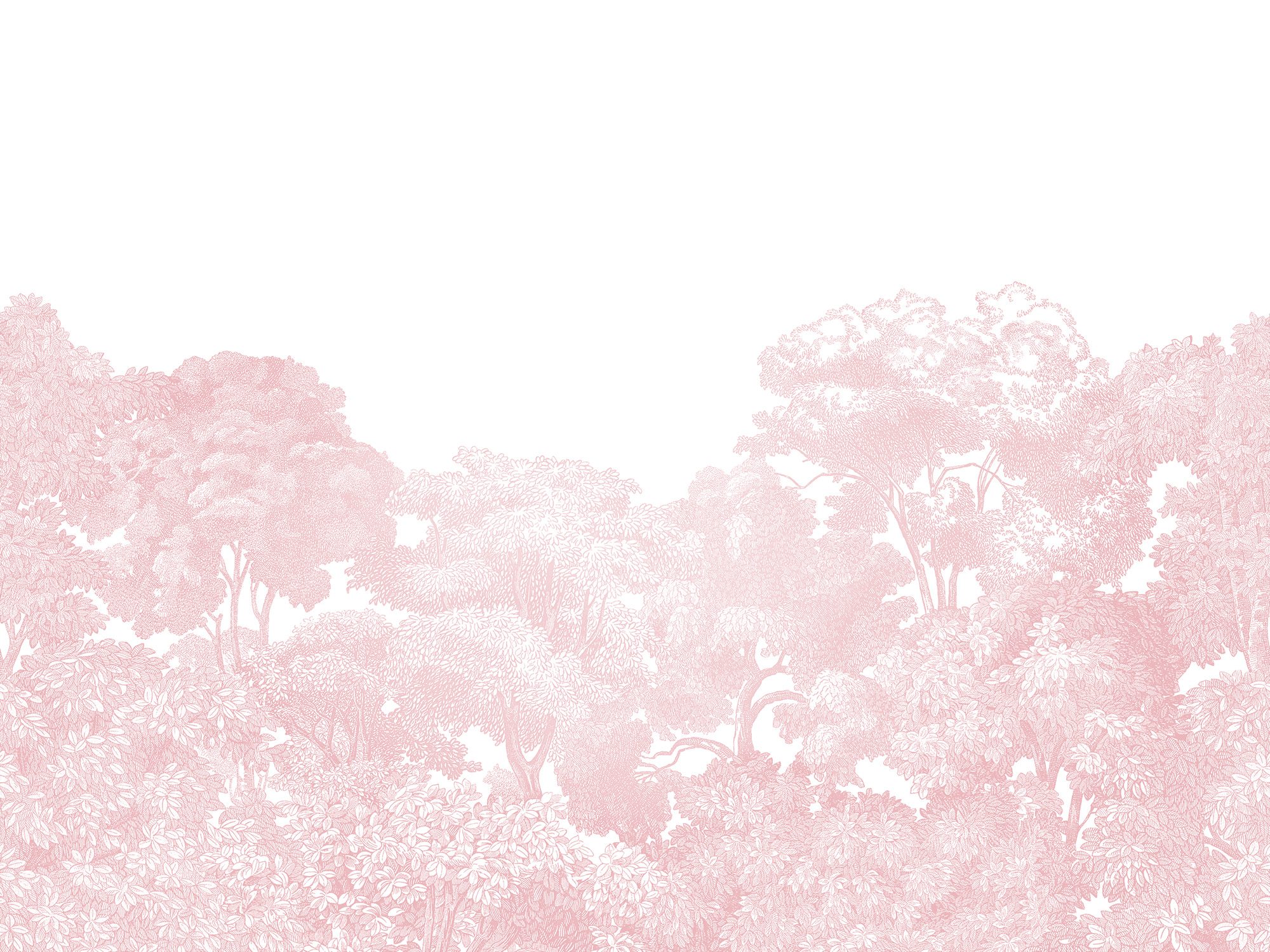 Pink Forest Wallpaper - Mountain , HD Wallpaper & Backgrounds