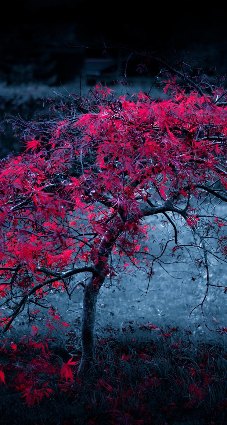 Red Tree Leaves Fog Light Purple Autumn Iphone - Realme 2 Wallpaper Full Hd , HD Wallpaper & Backgrounds