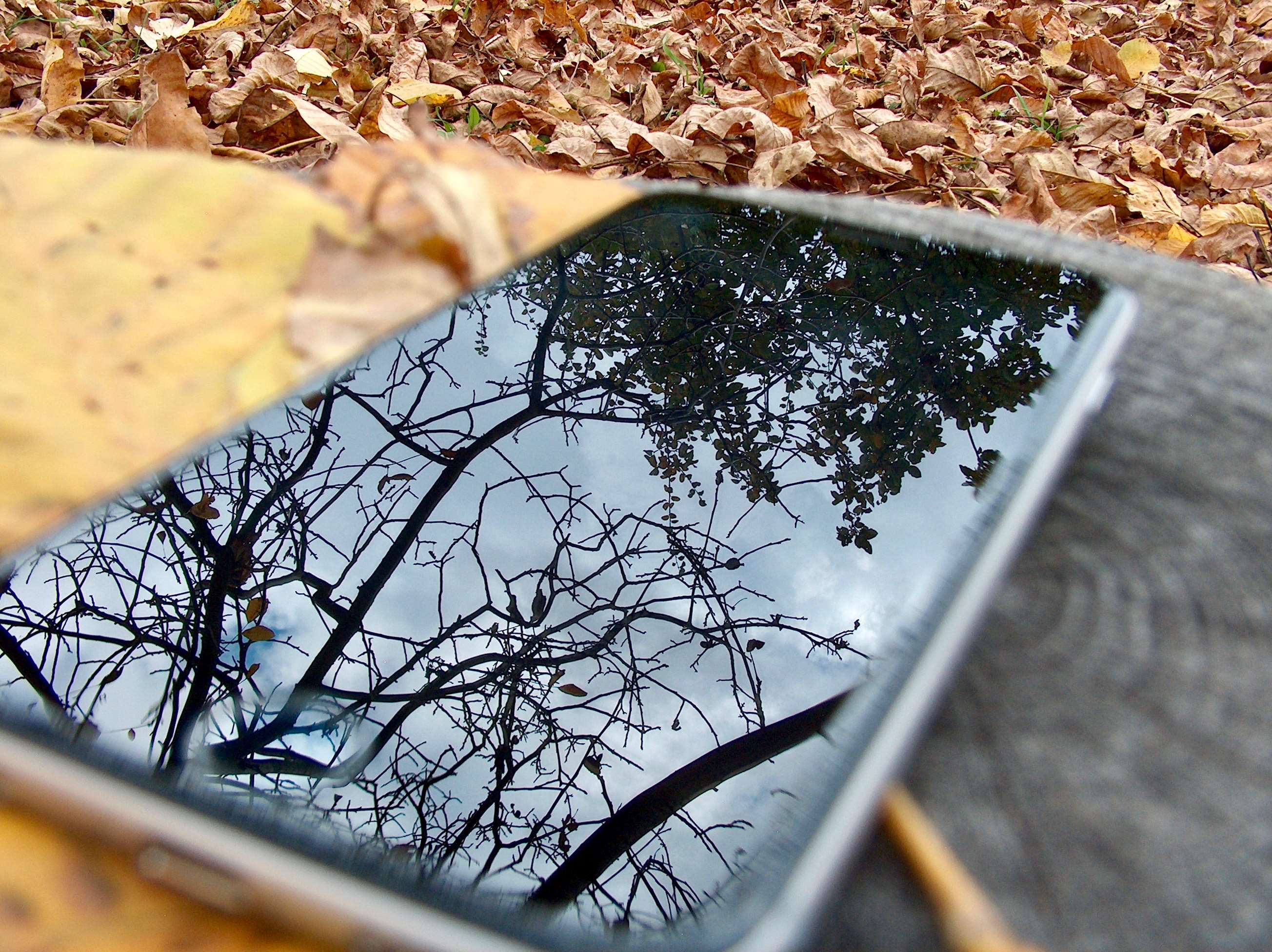 Apple, Autumn, Iphone, Iphone 6, Mirror, Nature, Nice, - Телефон Картинки Про Осень , HD Wallpaper & Backgrounds