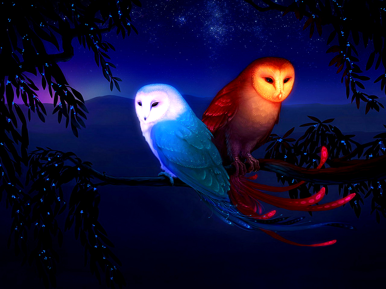 Owls Images Fantasy Owls Hd Wallpaper And Background - Fire And Water Owl , HD Wallpaper & Backgrounds
