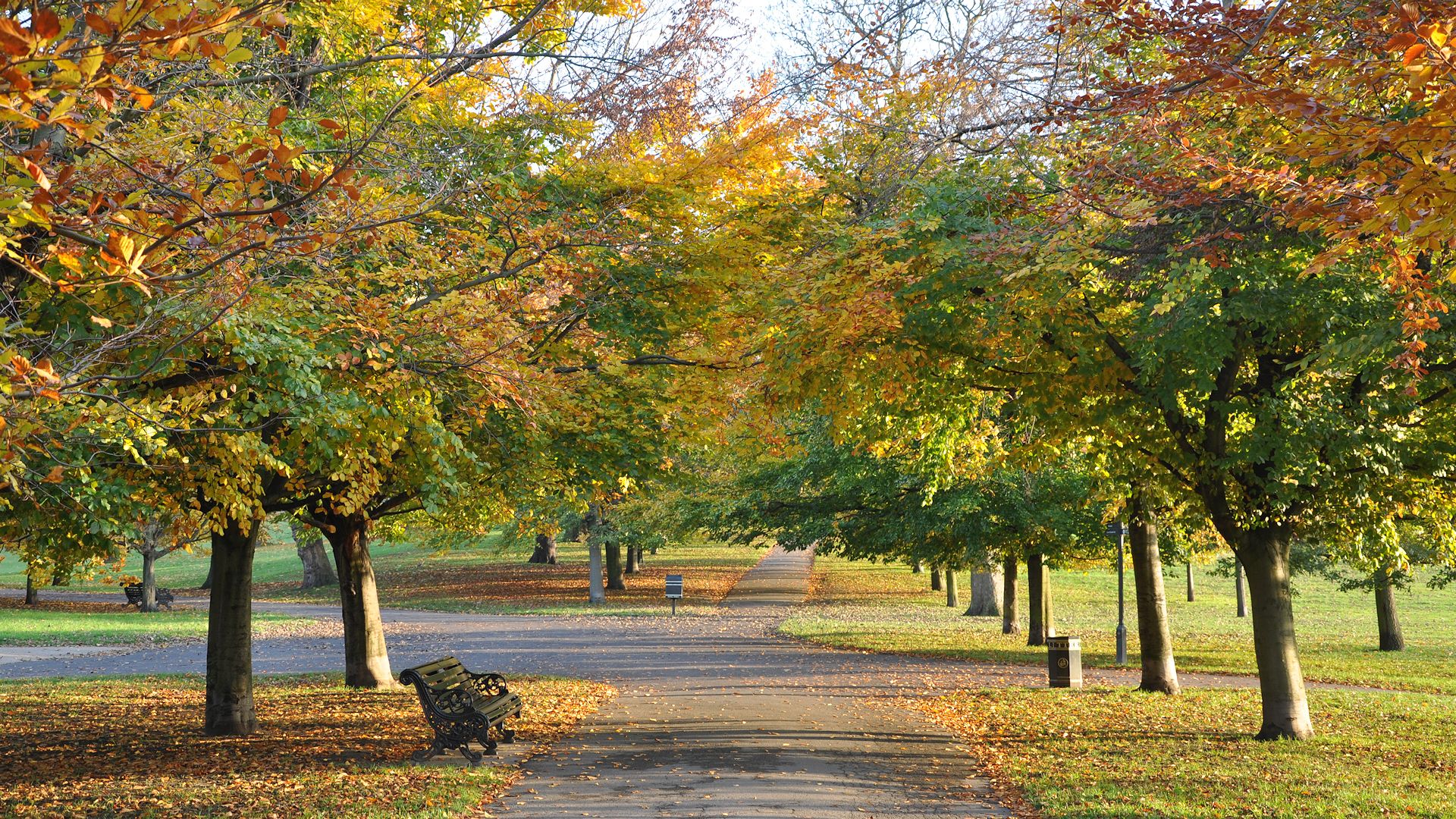 Autumn Desktop Wallpaper Hd Full Screen Nature 1080p Full Screen