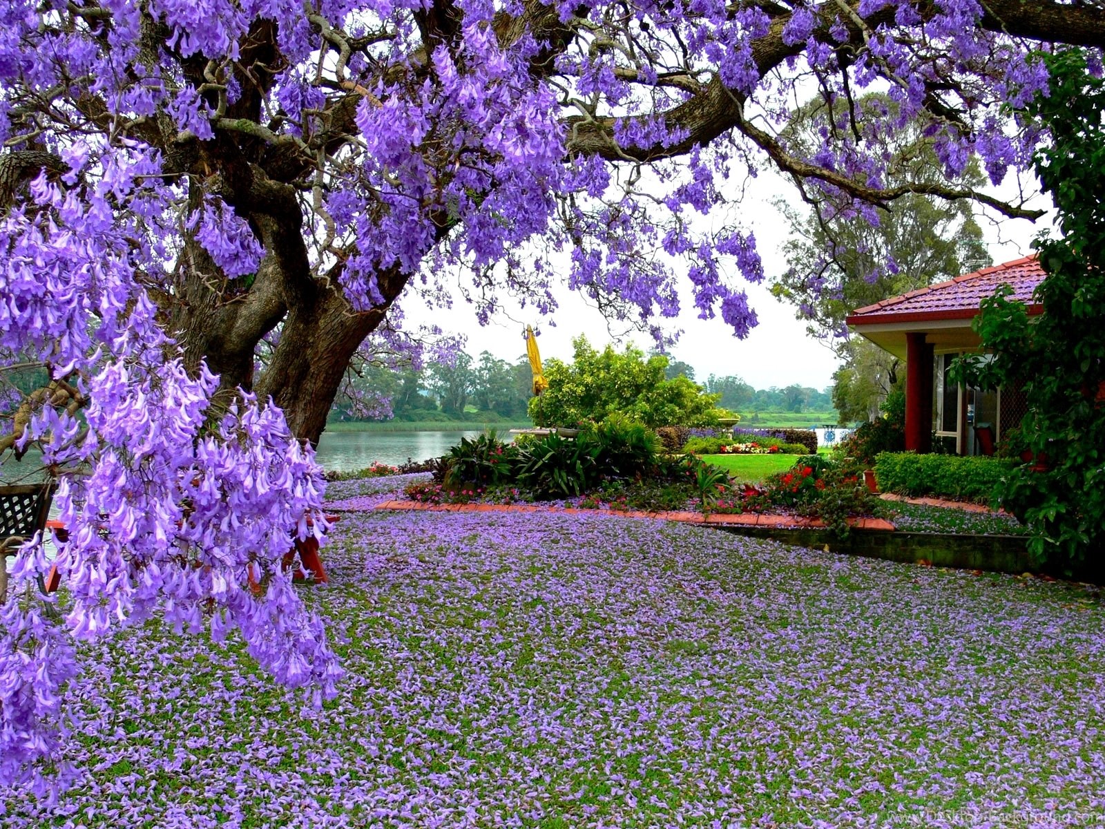 Fullscreen - Nature Spring Beautiful Background , HD Wallpaper & Backgrounds