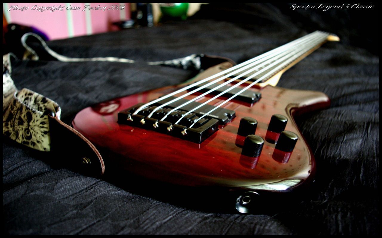 Bass Guitar Wallpapers - Spector Legend 5 Black Cherry , HD Wallpaper & Backgrounds