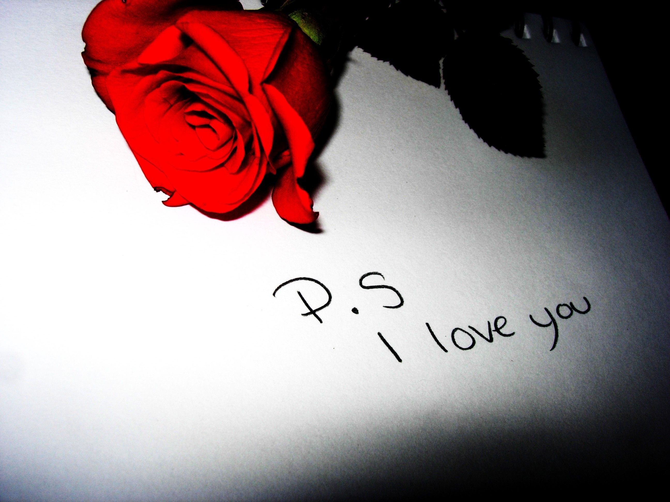I Love You Wallpapers Hd For Mobile Wallpaper Cave - Love You P , HD Wallpaper & Backgrounds