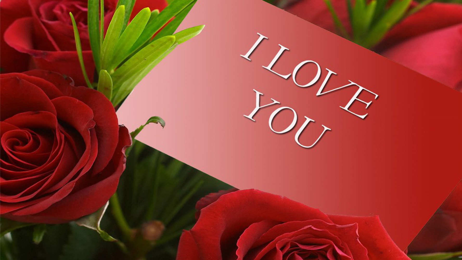 I Love You Hd Backgrounds , HD Wallpaper & Backgrounds