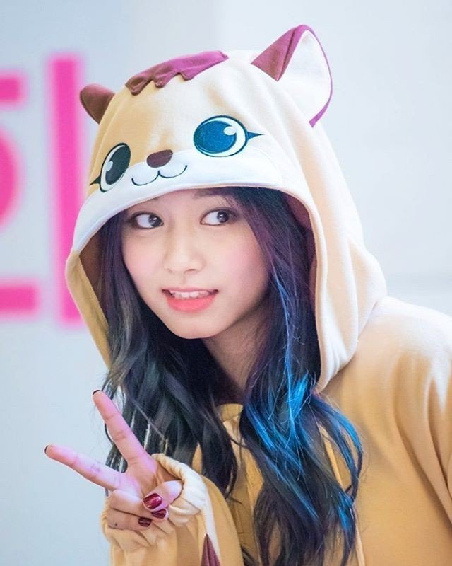 Tzuyu Wallpaper - Tzuyu Piece Animal Costume , HD Wallpaper & Backgrounds