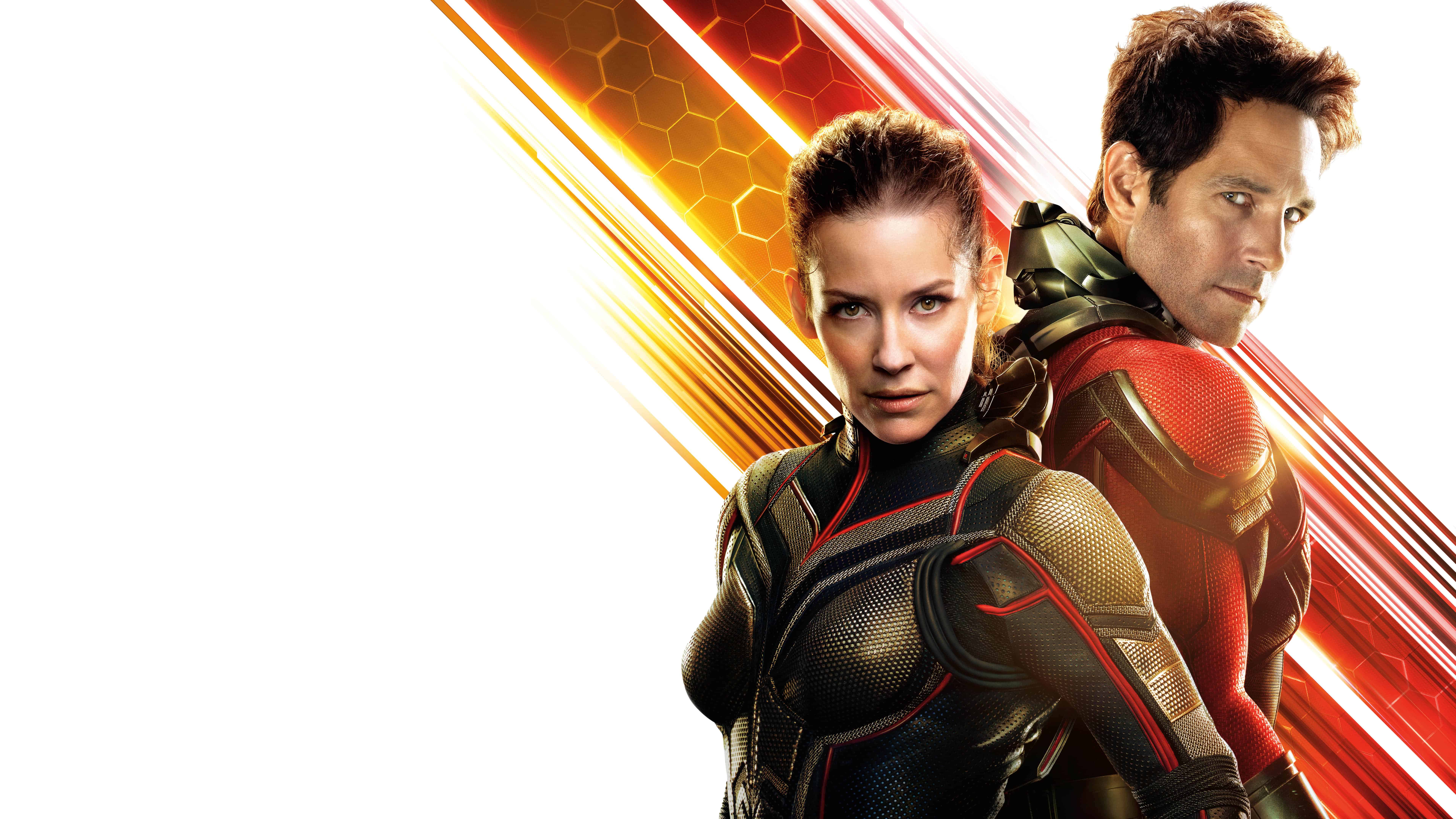 Ant Man And The Wasp Uhd 8k Wallpaper - Wasp Ant Man 2 , HD Wallpaper & Backgrounds