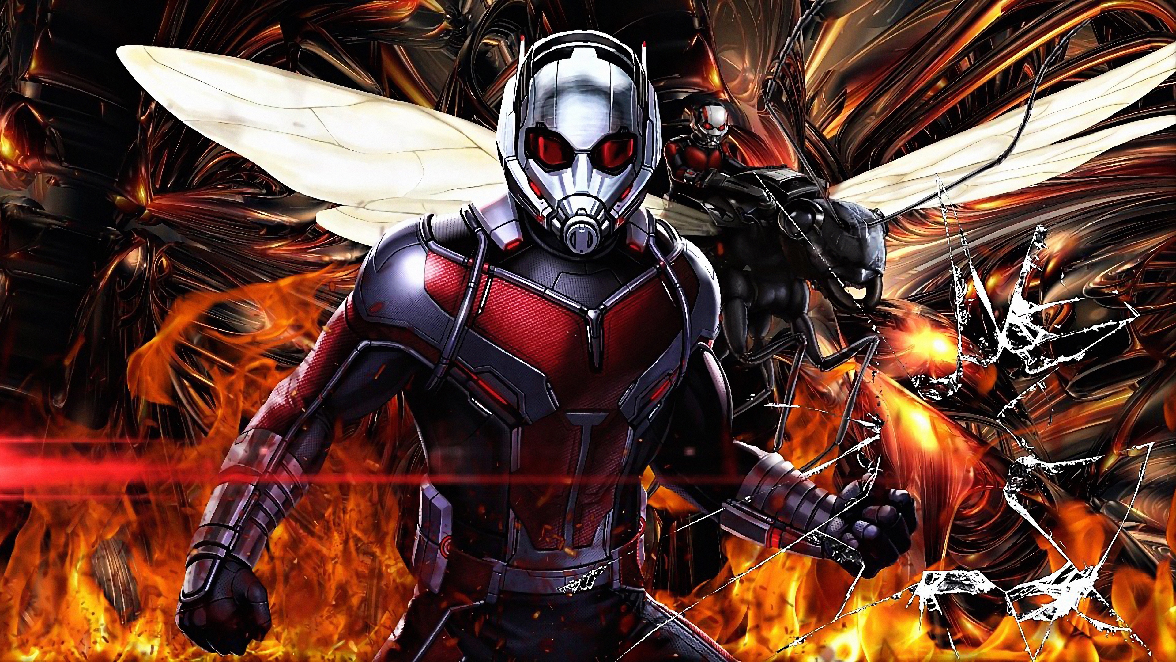 Ant-man And The Wasp Battle 4k Ultrahd 3840×2160 - Ant Man And The Wasp 4k , HD Wallpaper & Backgrounds