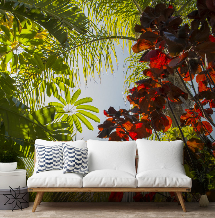 Jungle Wallpaper Mural Behind Sofa In Living Room - Dark Floral Wallpaper Bedroom , HD Wallpaper & Backgrounds