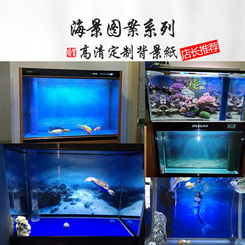 Aquarium , HD Wallpaper & Backgrounds