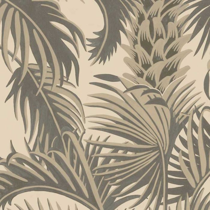 Cole & Son Wallpapers Hollywood Palm 113 113/ , HD Wallpaper & Backgrounds