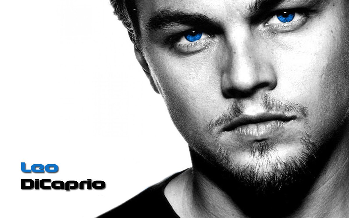 Full Hd Leonardo Dicaprio , HD Wallpaper & Backgrounds
