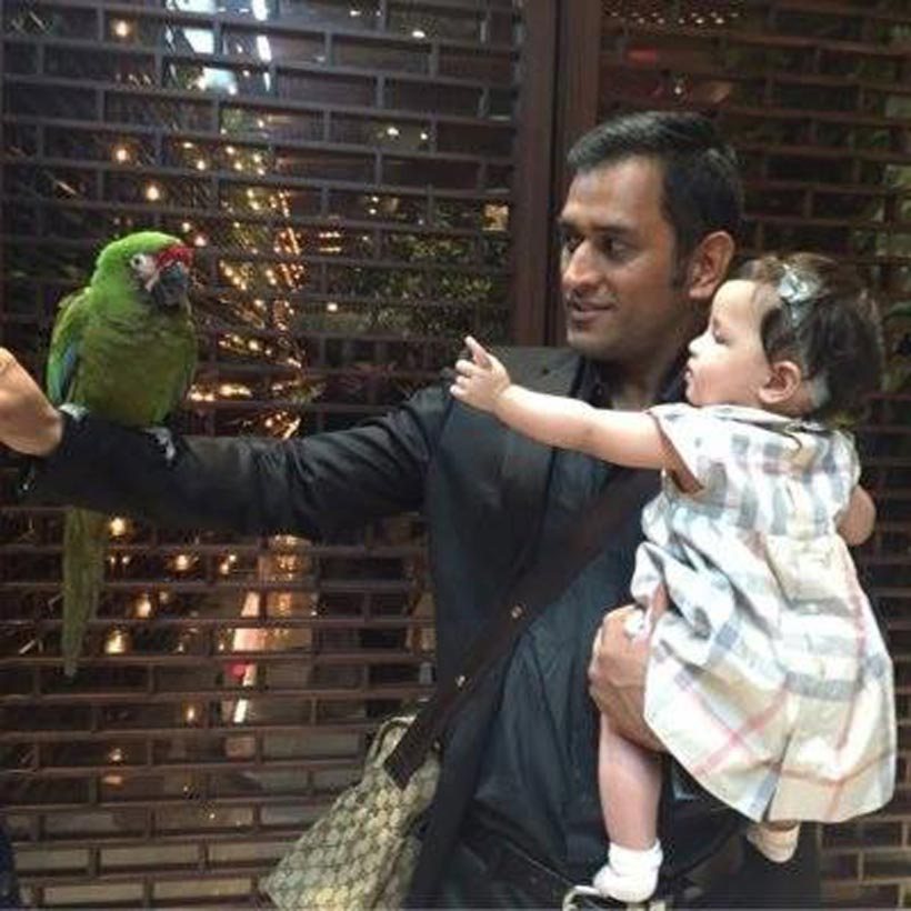 Ziva Having A Gala Time With Daddy Mahendra Singh Dhoni - Dhoni And His Daughter , HD Wallpaper & Backgrounds