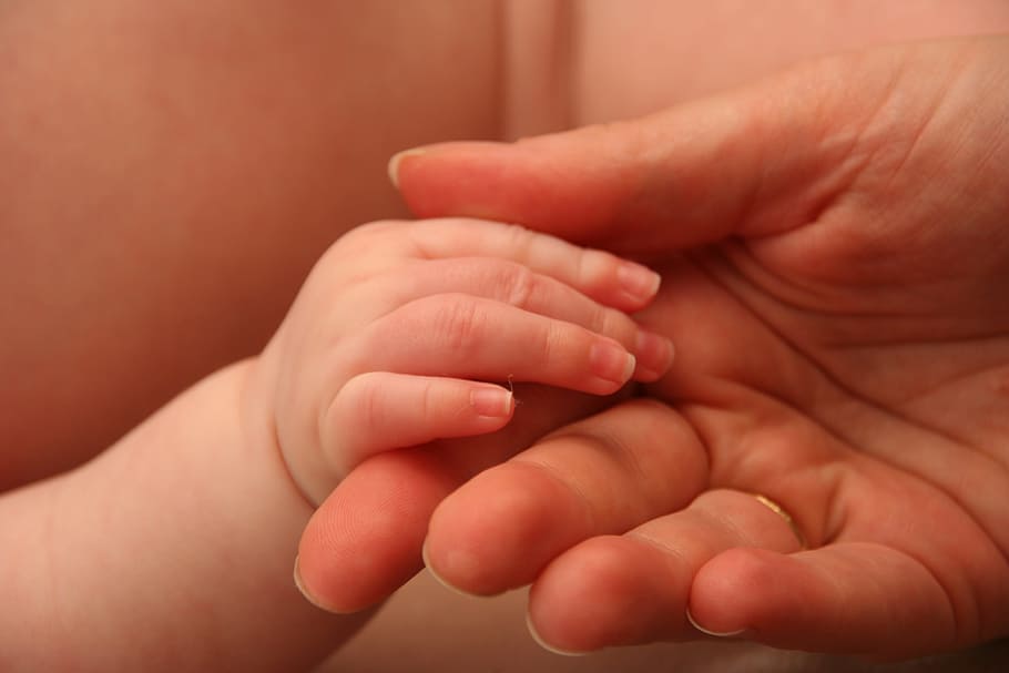 Baby, Hand, Child, Sweet, Finger, Small, Baby Hand, - Petite Main De Bébé , HD Wallpaper & Backgrounds