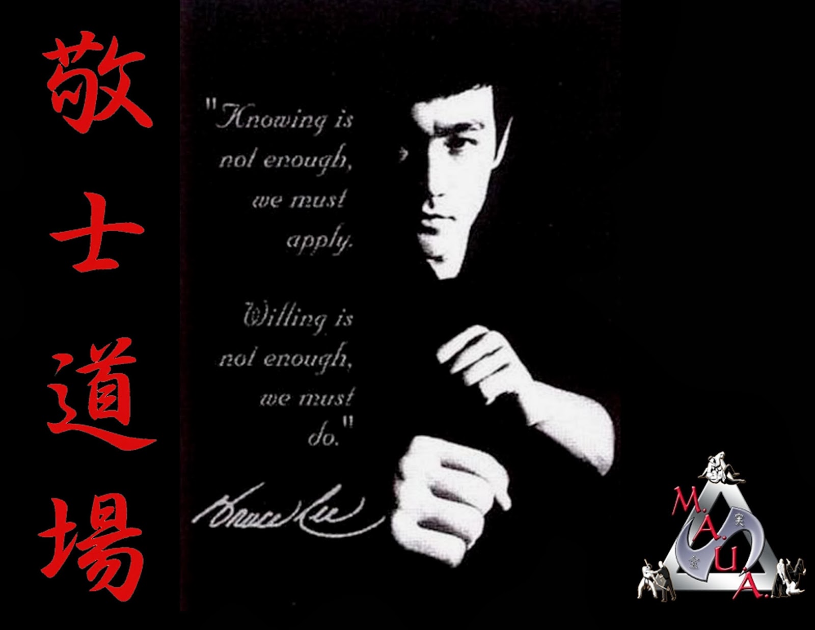 Martial Arts Hd Wallpapers Hd Wallpapers 360 - Bruce Lee Wallpaper 4k , HD Wallpaper & Backgrounds