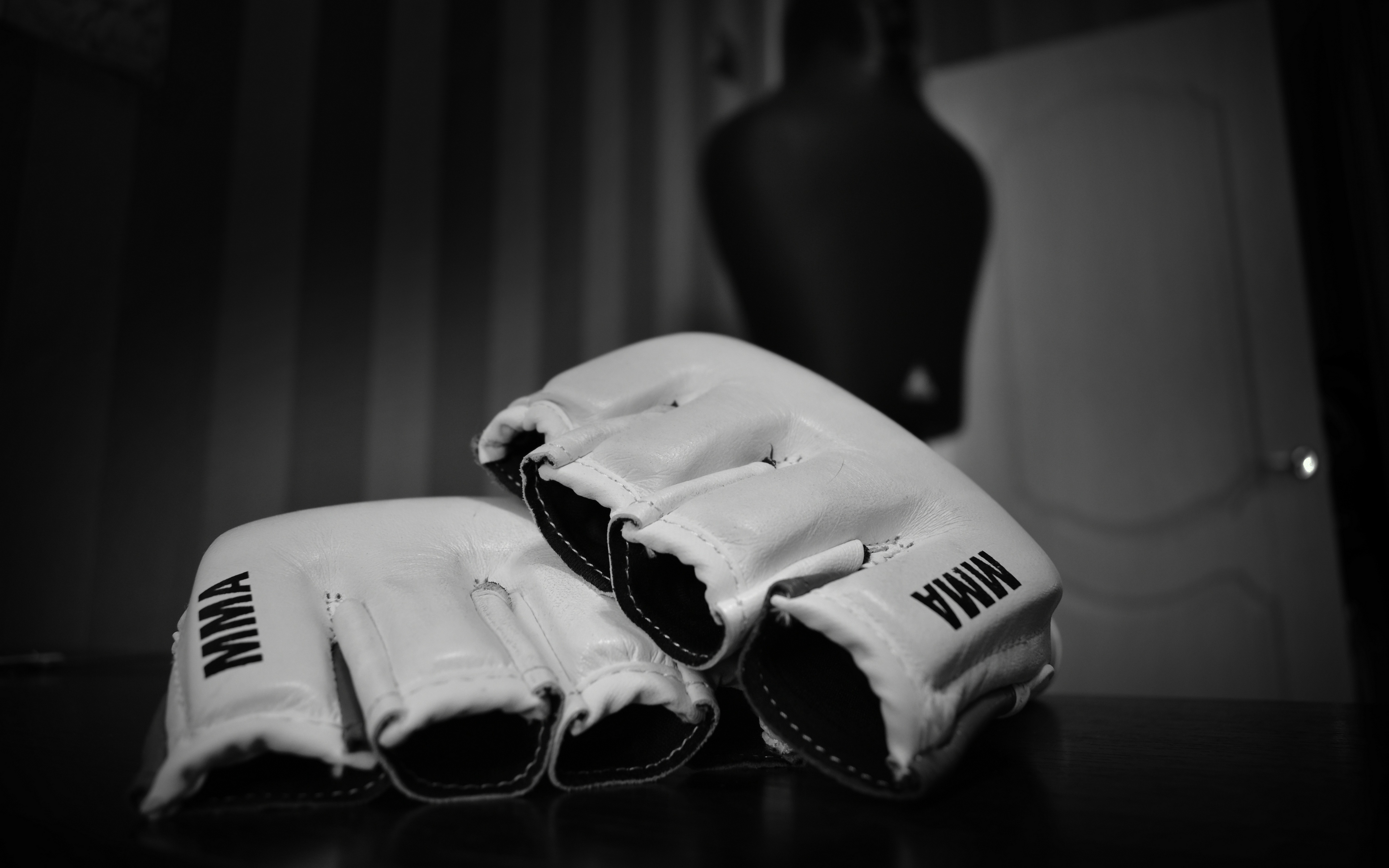 Wallpaper Mixed Martial Arts, Mma, Wrestling, Bw, Gloves - Martial Arts , HD Wallpaper & Backgrounds