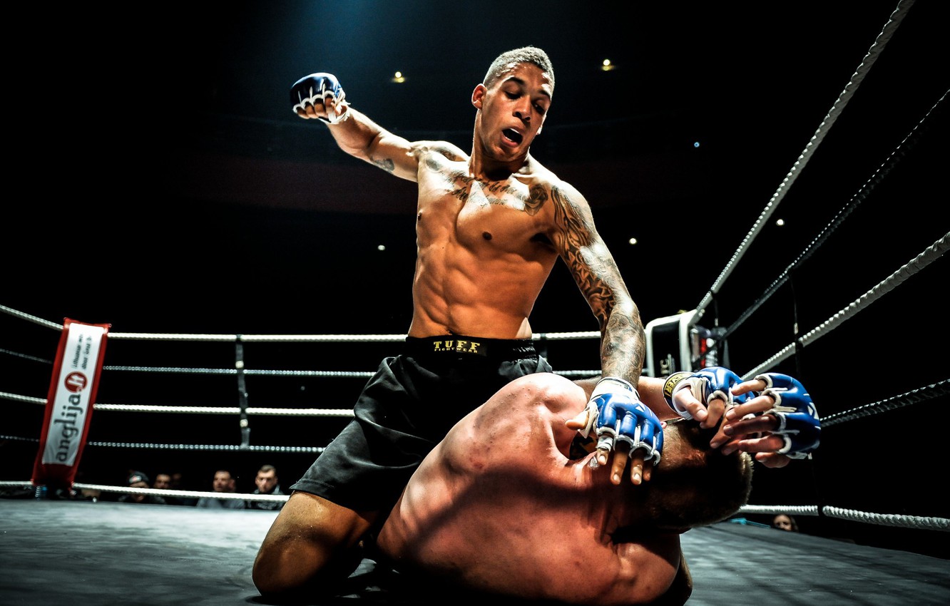 Photo Wallpaper Mma, Fight, Ground - Mma Fighting , HD Wallpaper & Backgrounds
