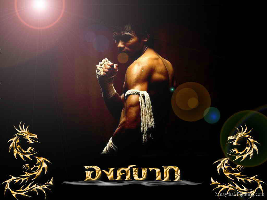 Muay Thai Tony Jaa , HD Wallpaper & Backgrounds