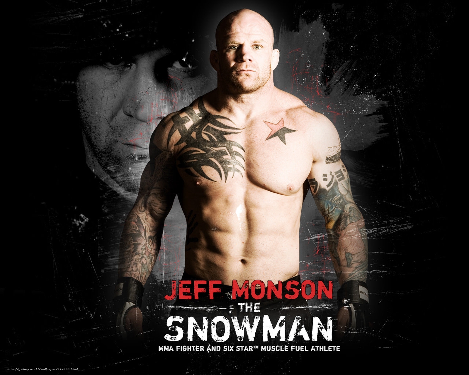 Download Wallpaper Jeff Monson, The Snowman, Mma, Fighter - Jeff Monson Ufc , HD Wallpaper & Backgrounds