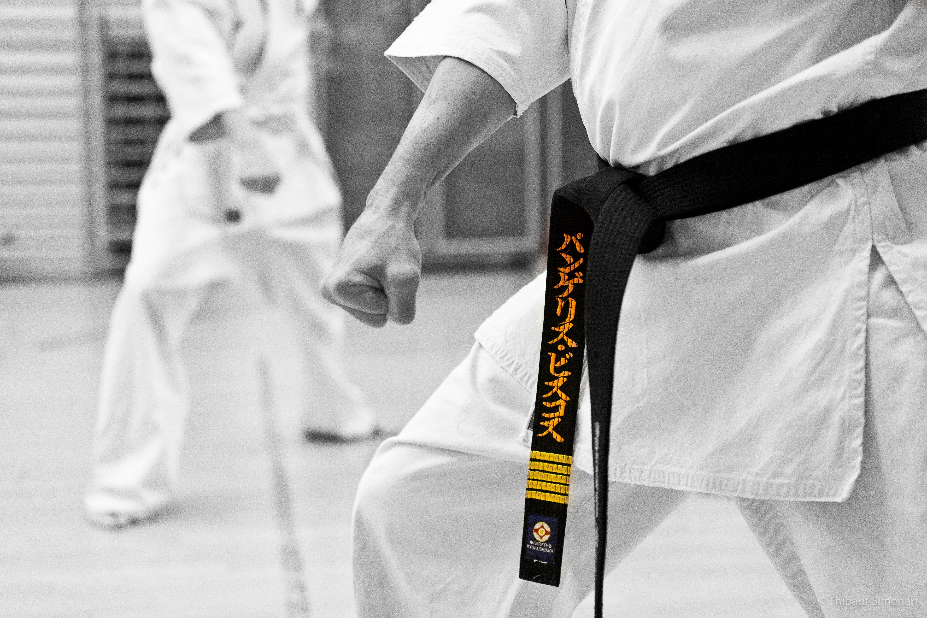 Karate Full Hd - Kyokushin Karateka , HD Wallpaper & Backgrounds