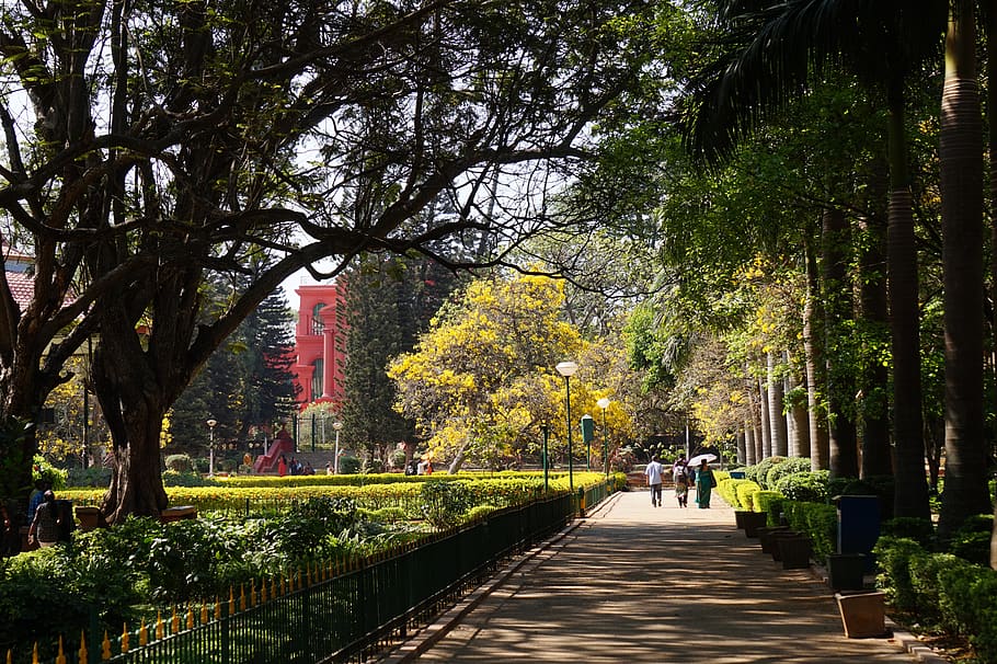 India, Cubbon Park, Bengaluru, Bangalore, Indians, - Bangalore City 4k , HD Wallpaper & Backgrounds