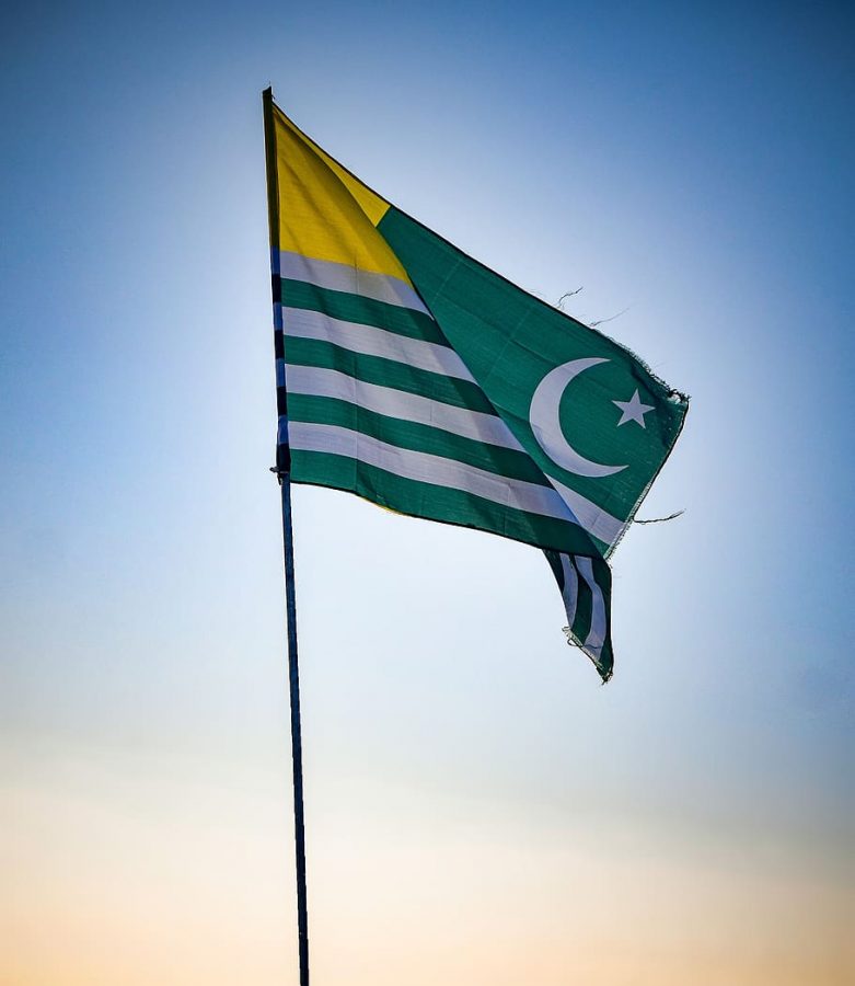 5w And H - Kashmir Flag Pic Download , HD Wallpaper & Backgrounds