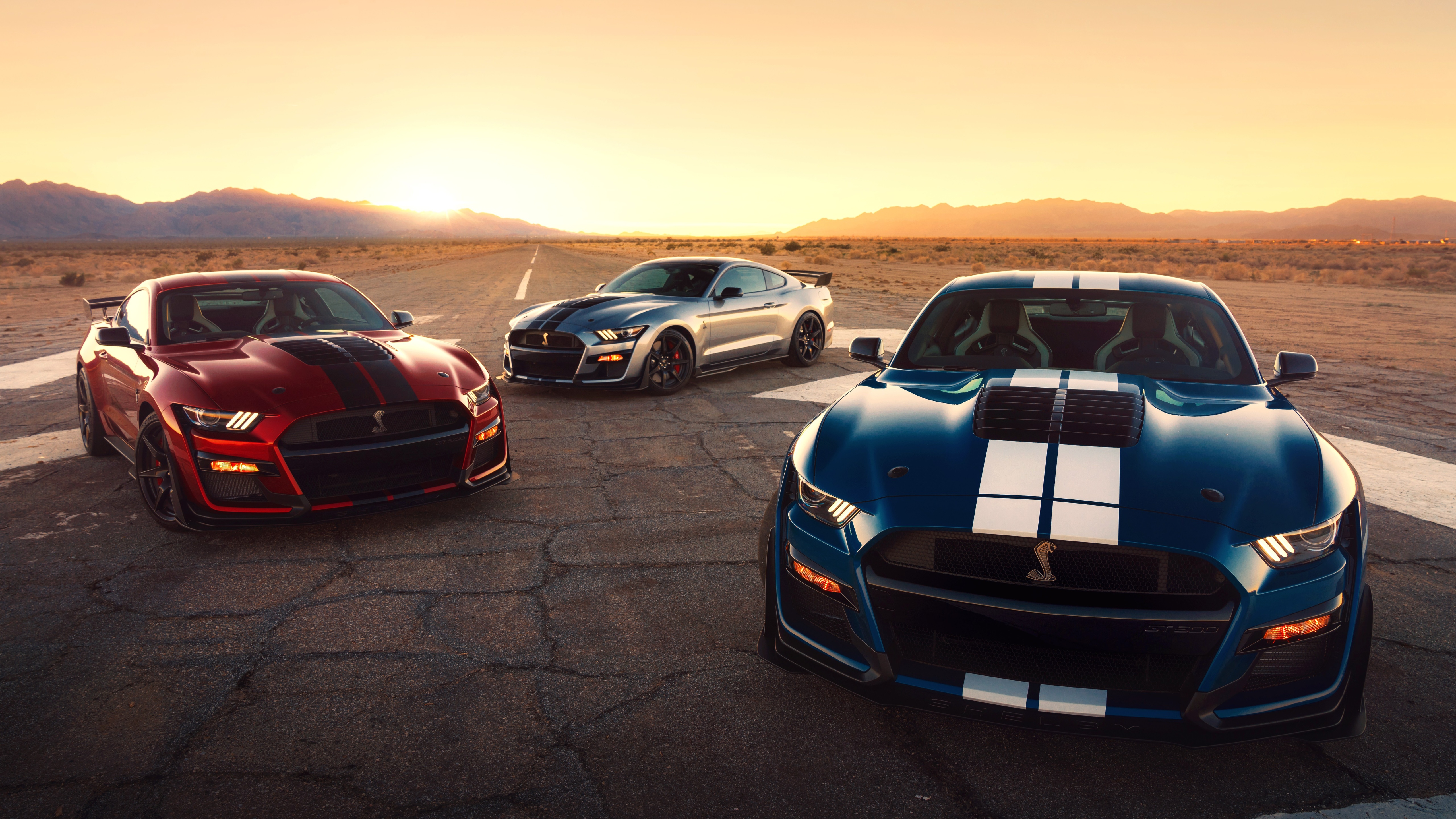 Ford Mustang Shelby Gt 500 2020 , HD Wallpaper & Backgrounds