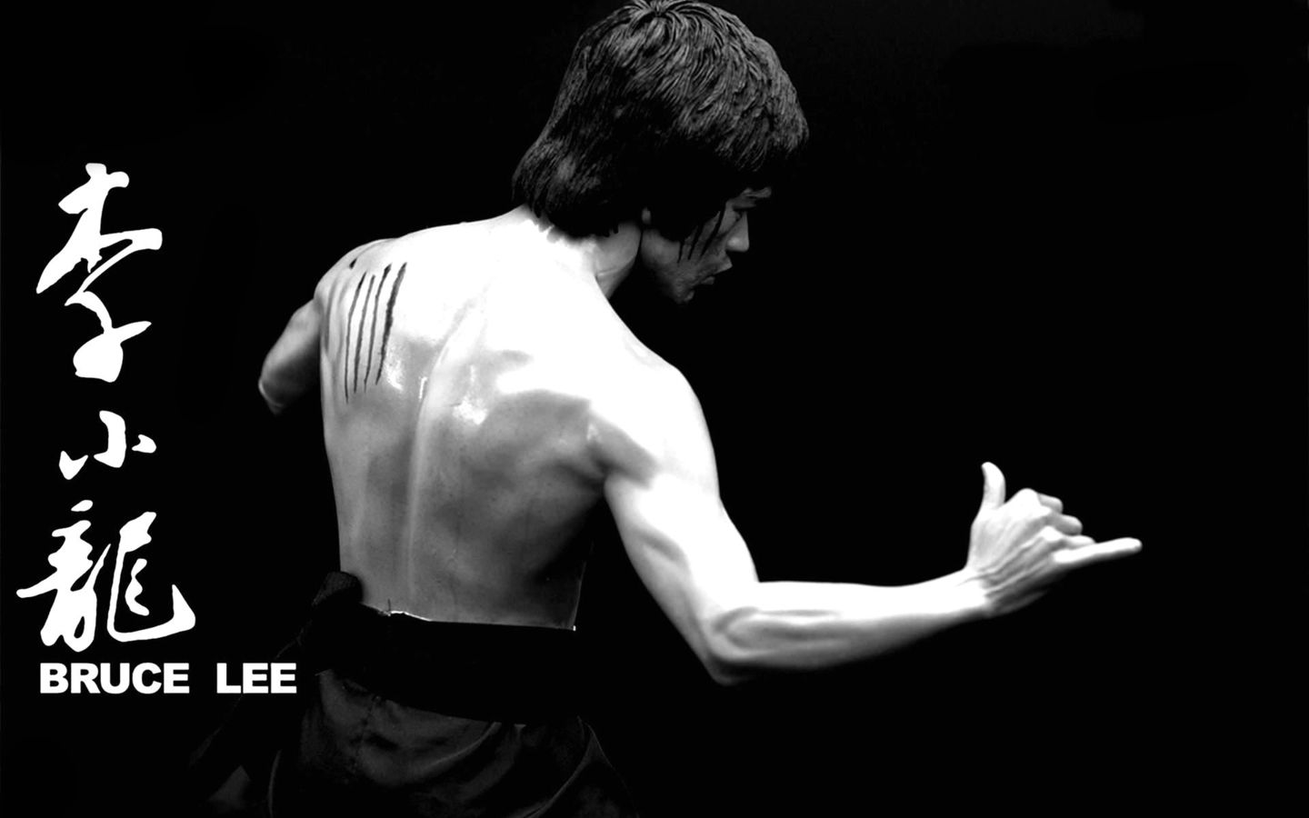 31 Bruce Lee Hd Wallpapers - Bruce Lee , HD Wallpaper & Backgrounds