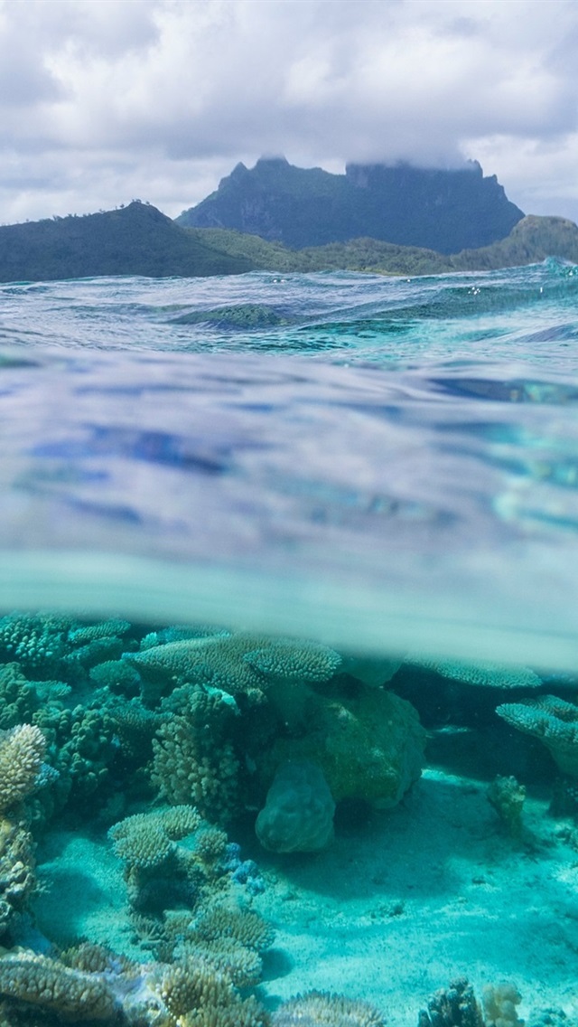 Underwater Ocean Bora Bora , HD Wallpaper & Backgrounds