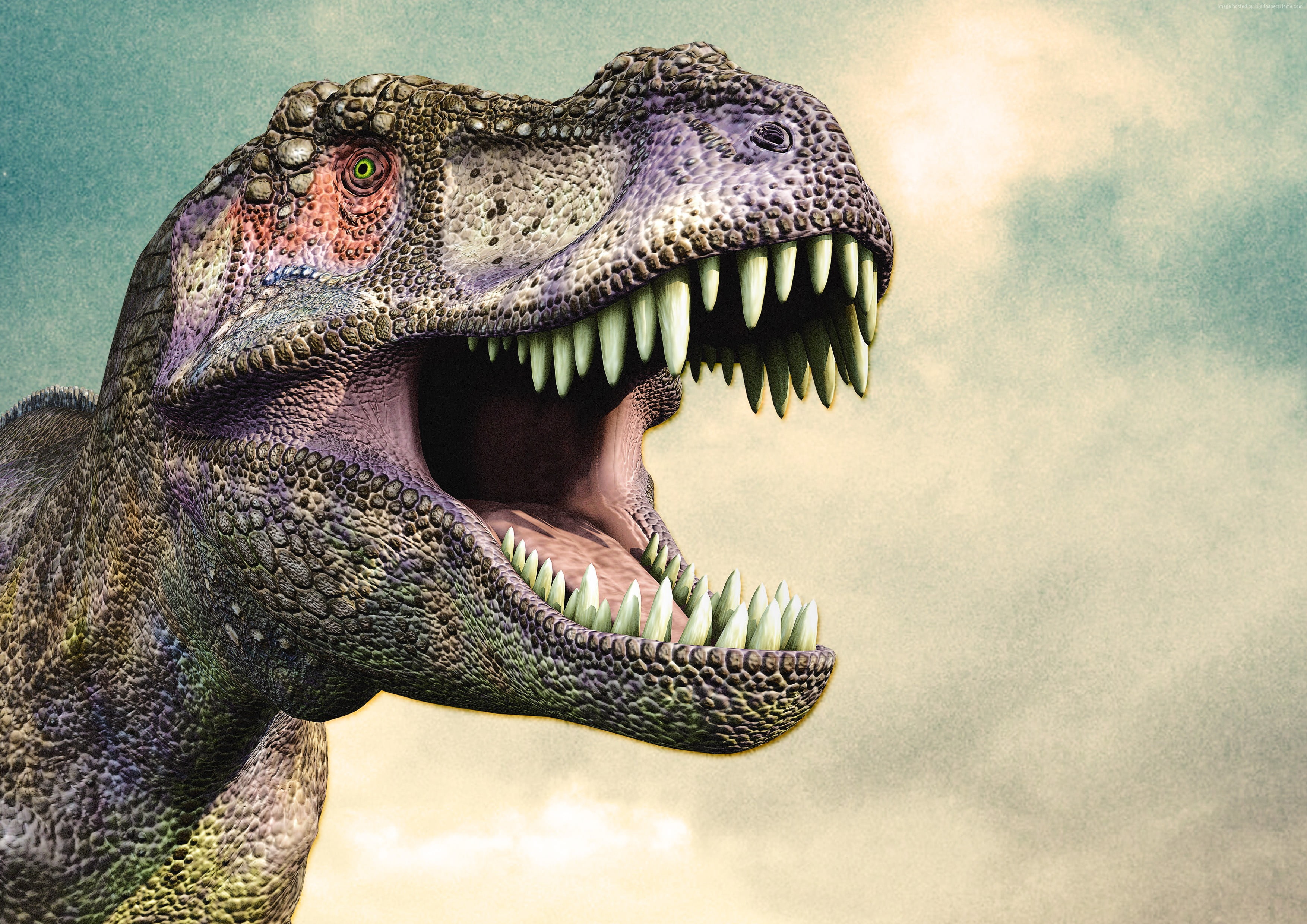 T Rex Dinosaur Wallpaper Hd - T Rex Wallpaper Hd (#3110097) - HD