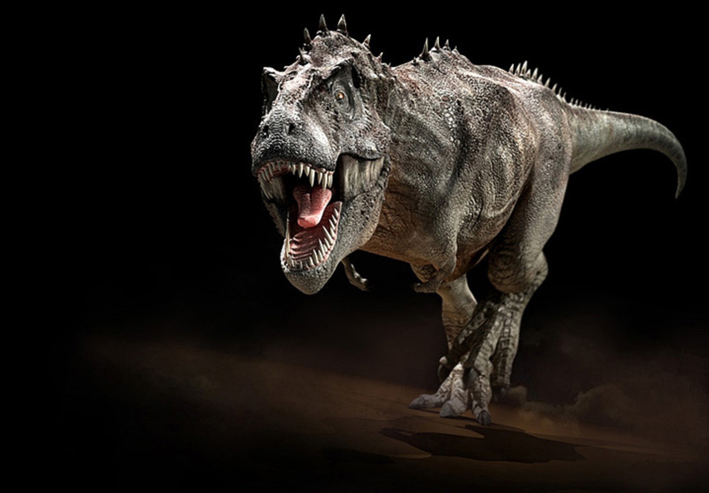 Tyrannosaurus Rex Wallpaper Forwallpapercom - T Rex With Spikes On Head , HD Wallpaper & Backgrounds