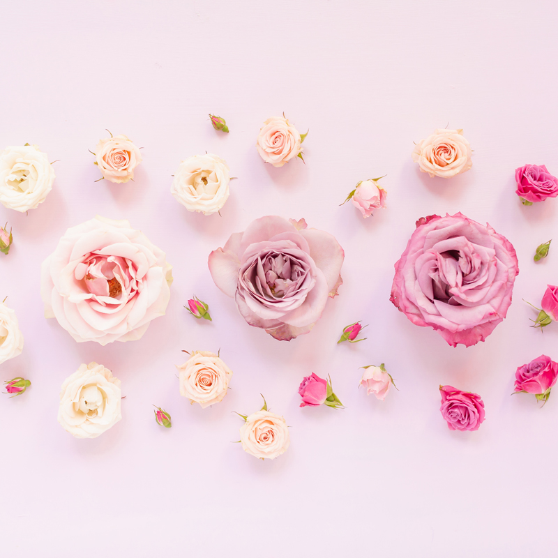 Digital Blooms March 2020 - Pastel Roses , HD Wallpaper & Backgrounds