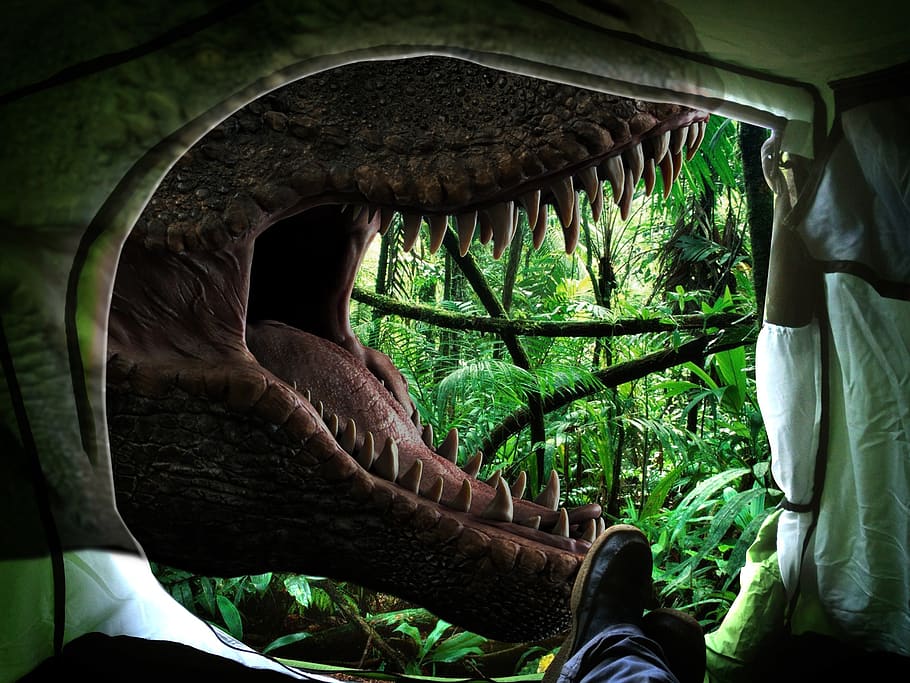 Nature, Dinosaur, T Rex, Prehistoric Times, Carnivores, - Escape The Room Jurassic , HD Wallpaper & Backgrounds
