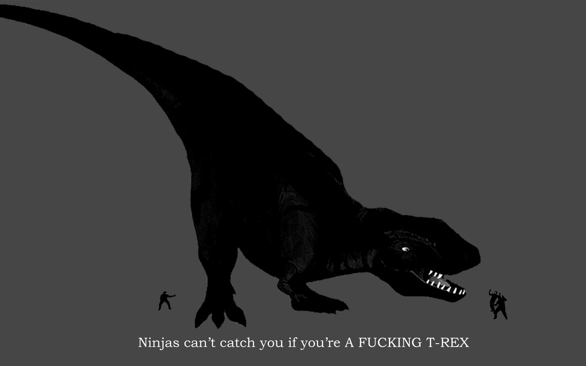 Ninjas Cant Catch You If You Are Trex Wallpaper - Ninjas Cant Catch You If You Re , HD Wallpaper & Backgrounds