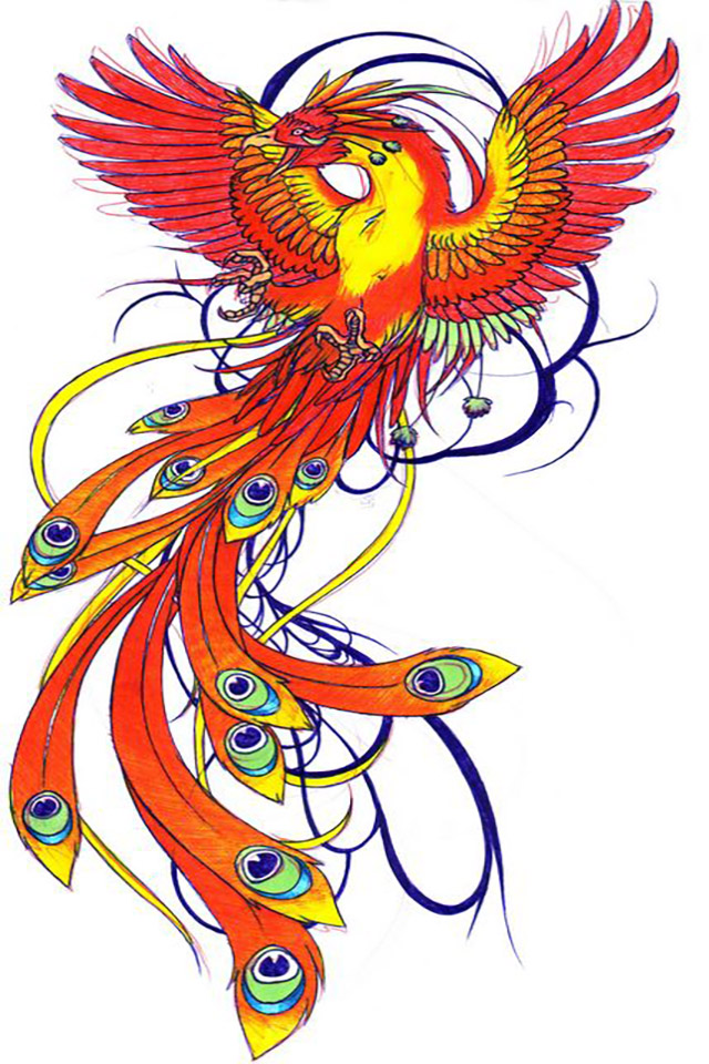 Phoenix Colour Tattoo Design , HD Wallpaper & Backgrounds