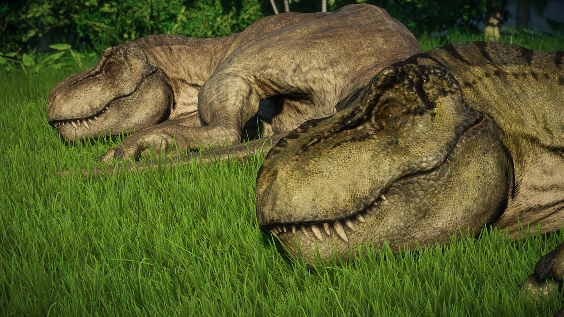   - Jurassic World Evolution T Rex Skins , HD Wallpaper & Backgrounds